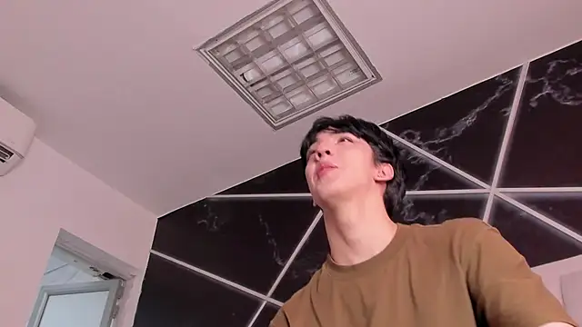 הופעת וובקאם של AerumChae