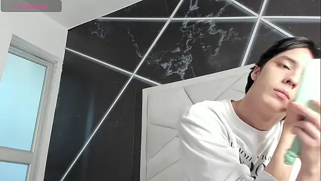 Show webcam de AerumChae