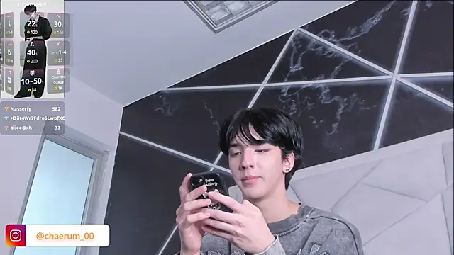 Show Webcam de AerumChae