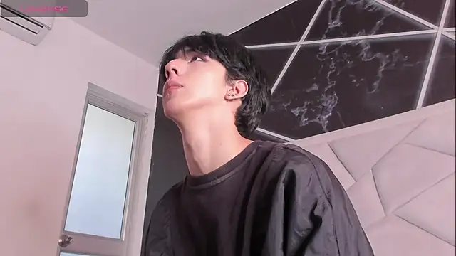 Show Webcam de AerumChae