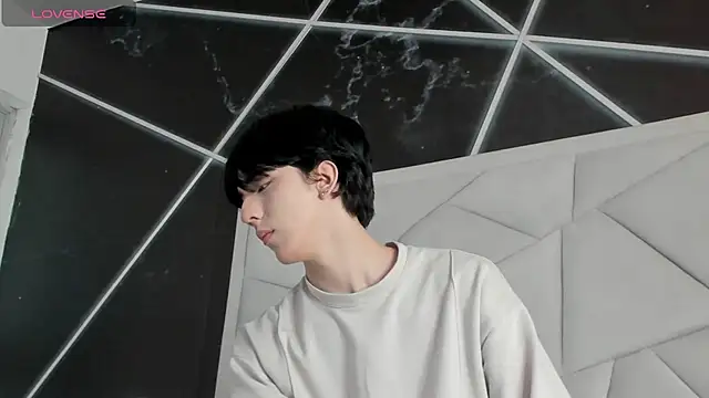 הופעת וובקאם של AerumChae