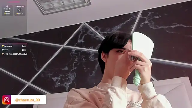 โชว์เว็บแคมของ AerumChae