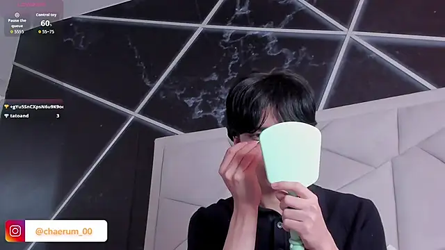 AerumChaeのウェブカメラショー