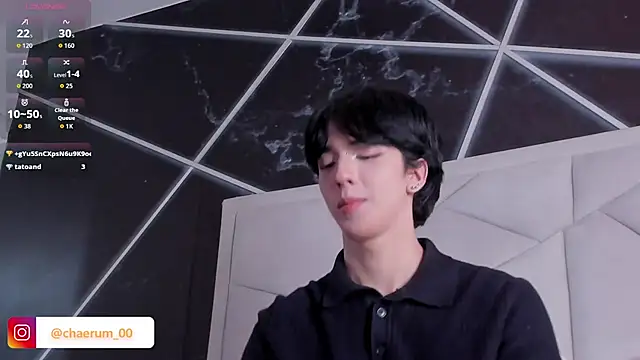 Show webcam de AerumChae