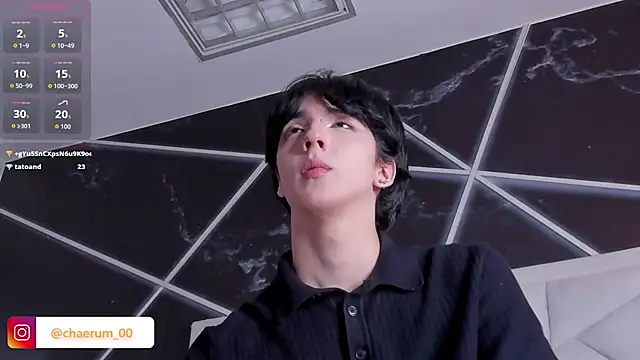 AerumChae Webcam Show