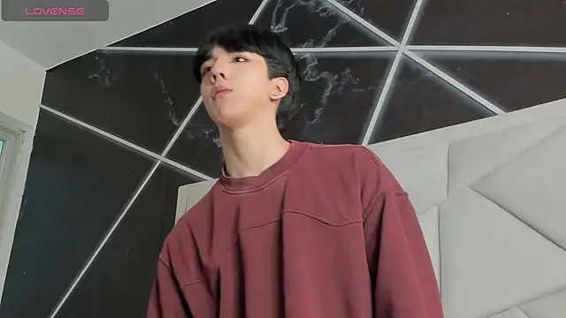 Show Webcam de AerumChae