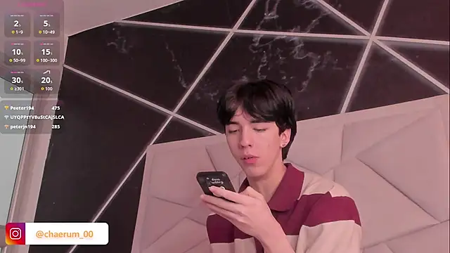 AerumChae 网络视讯表演