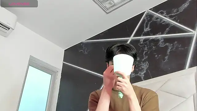 Вебкам-шоу AerumChae
