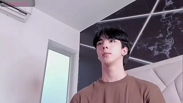 Show webcam de AerumChae