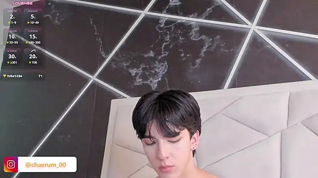 Show de webcam de AerumChae
