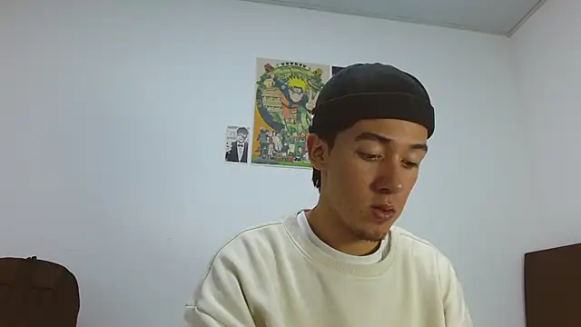Austinreedssn Webbikameraesitys
