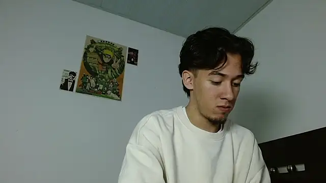 Austinreedssn Webbikameraesitys