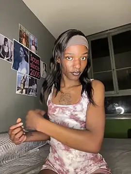 Trans_fairy's Webcam Show