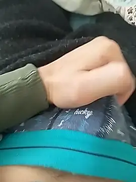 Tolgareelvar webcam show