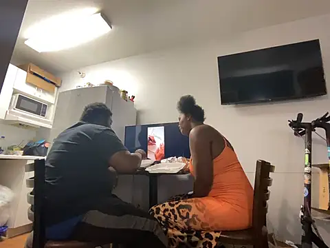 Tattedupdekn Webbikameraesitys