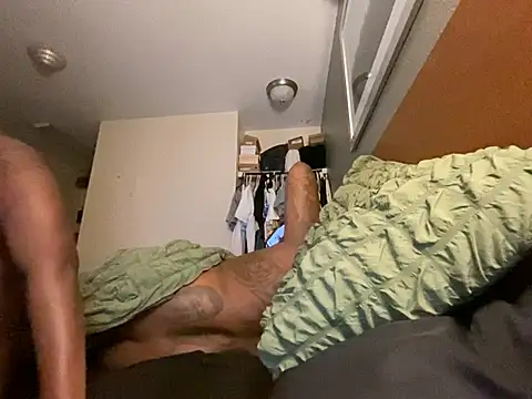 Show Webcam de Tattedupdek