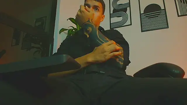 ALPHA_DOMINUS_n Webbikameraesitys