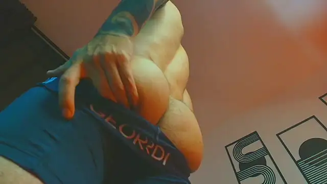 ALPHA_DOMINUS_n Webbikameraesitys