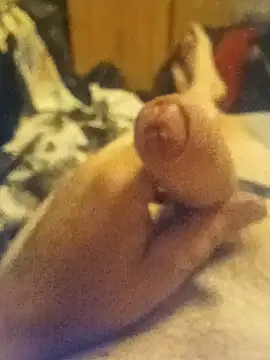 Show Webcam de longcock1989
