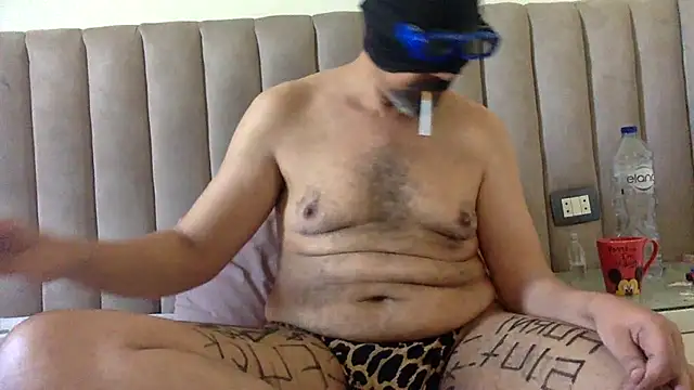 عرض كام CaiBull