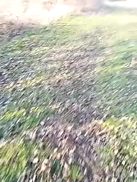 fickfreund019 网络视讯表演