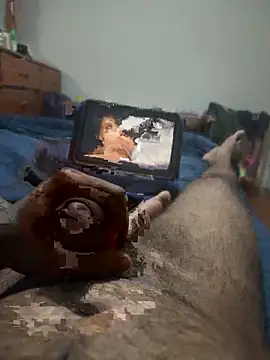 meta_dilin Webbikameraesitys