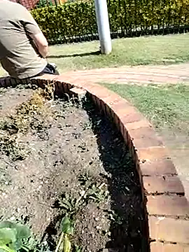 โชว์เว็บแคมของ Dani22cmhot