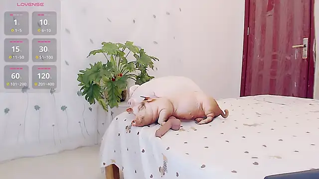 yaoyao-baby520のウェブカメラショー