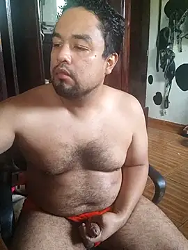 Show webcam de Hotknight