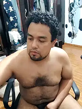 Show webcam de Hotknight