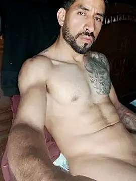Alexsexygamer 网络视讯表演