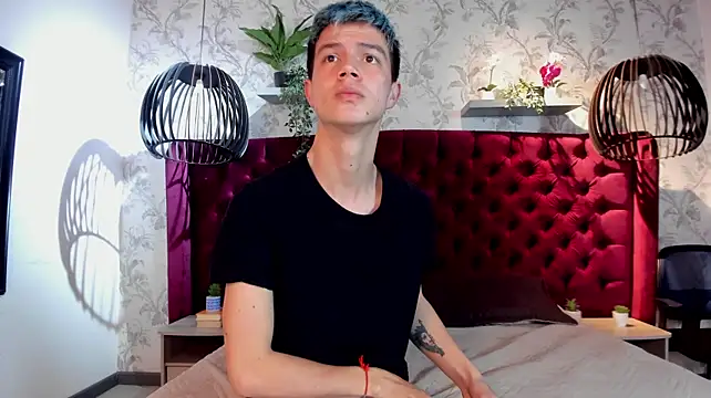 nicktornn Webbikameraesitys