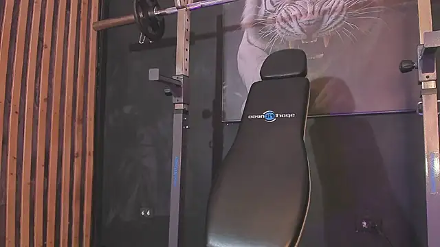 DimitriDeluxe Webcam show