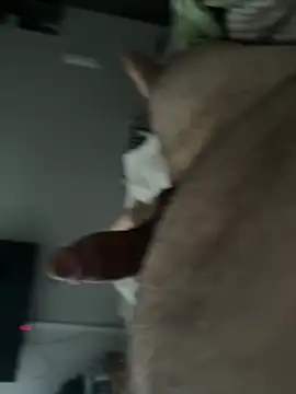 Spartacus514's Webcam Show
