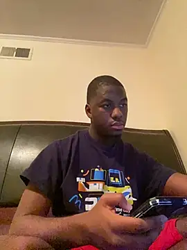 ThickDic28 Show Webcam