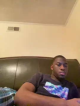 ThickDic28 Show in webcam