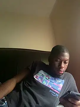 ThickDic28 Show in webcam
