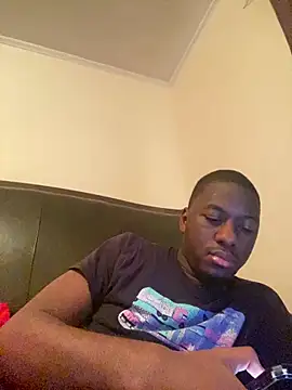 ThickDic28 Show in webcam