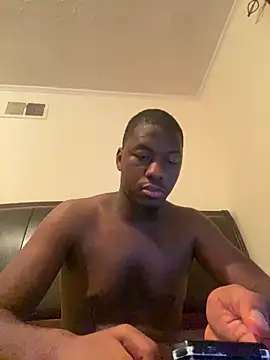 ThickDic28 Show in webcam