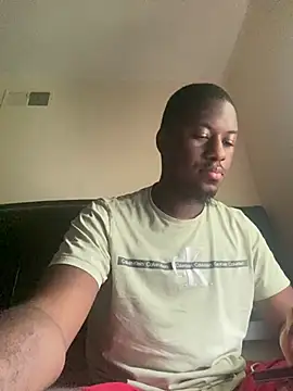 ThickDic28 Show in webcam