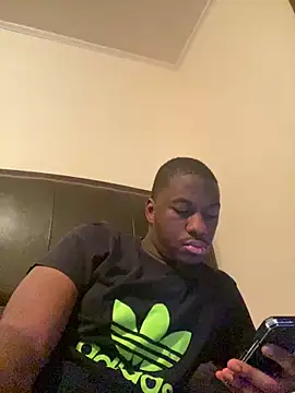 ThickDic28 Show in webcam