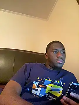 ThickDic28 Show Webcam
