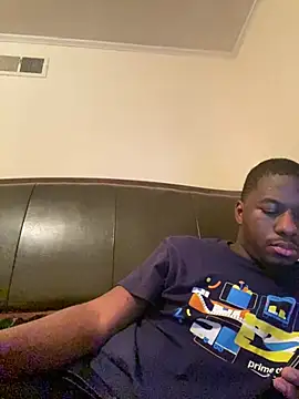 ThickDic28 Show in webcam