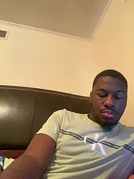 ThickDic28 Show in webcam