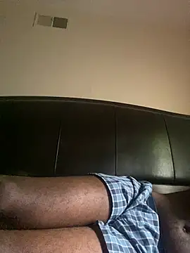 ThickDic28 Show in webcam