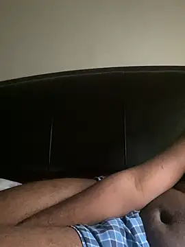 ThickDic28 Show in webcam