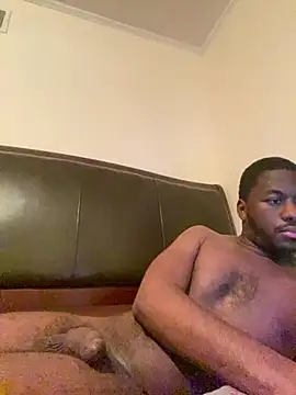 Show webcam de ThickDic28