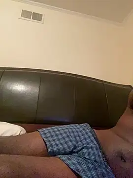 ThickDic28 Show in webcam