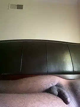 ThickDic28 Show in webcam