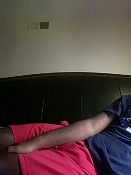 Show webcam de ThickDic28